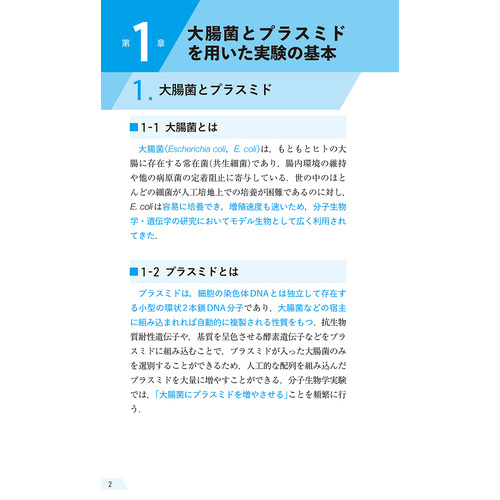 商品写真