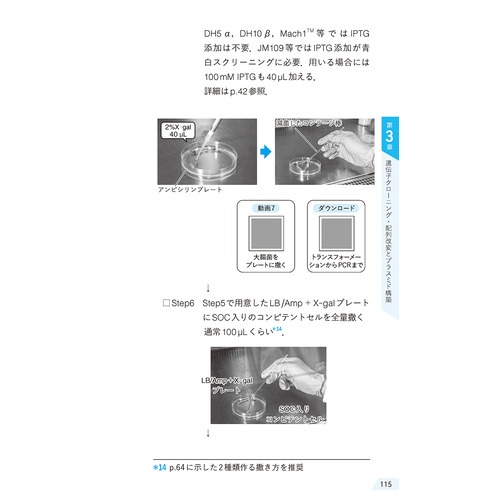 商品写真