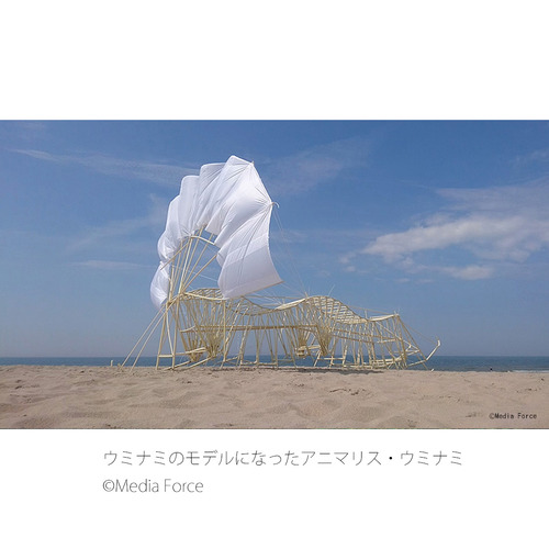 商品写真