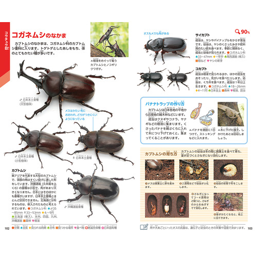 商品写真