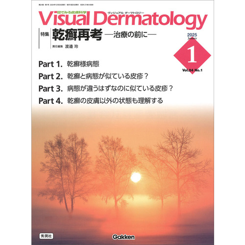 Ｖｉｓｕａｌ　Ｄ．　２０２５年１月号　Ｖｏｌ．２４　Ｎｏ．１