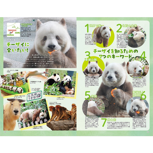 商品写真