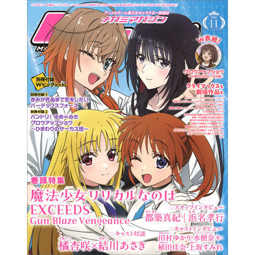 メガミマガジン　１１月号