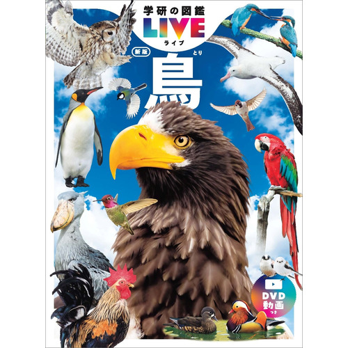鳥　新版