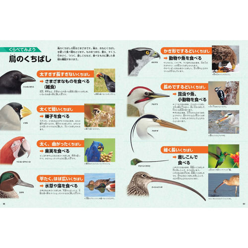 商品写真