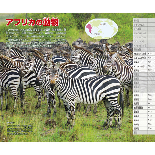 商品写真