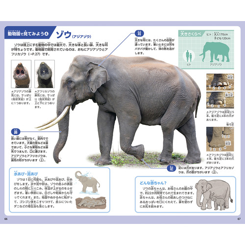 商品写真