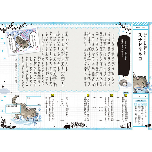 動物　かわいい編　低学年