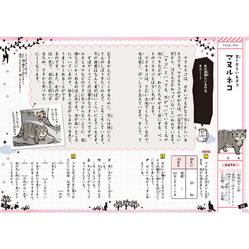 動物　かわいい編　低学年