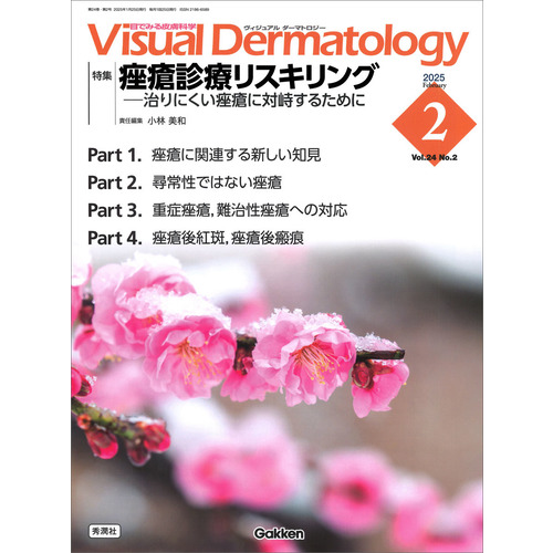 Ｖｉｓｕａｌ　Ｄ．　２０２５年２月号　Ｖｏｌ．２４　Ｎｏ．２