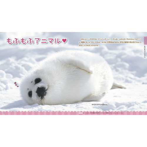 商品写真