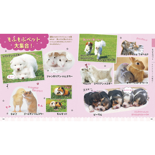 学研の図鑑LIVE（ライブ） petit|もふもふ動物 新装版|今泉