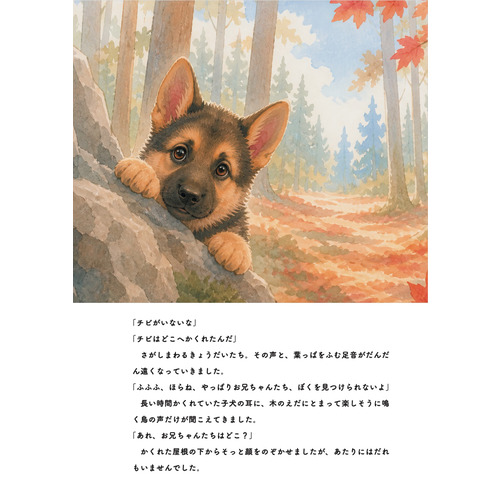 商品写真