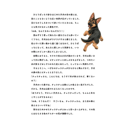 商品写真