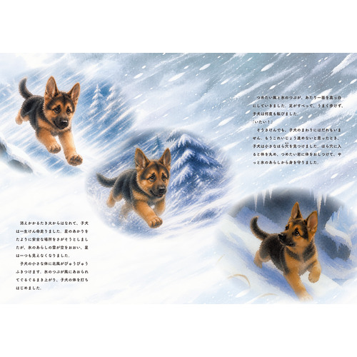 商品写真