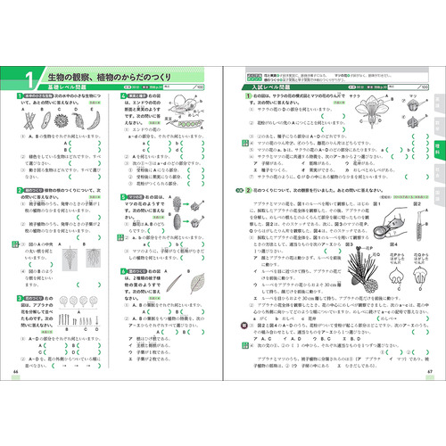 商品写真