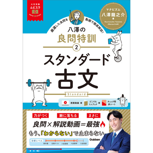 大学受験ムビスタ　八澤の良問特訓【２】　スタンダード古文