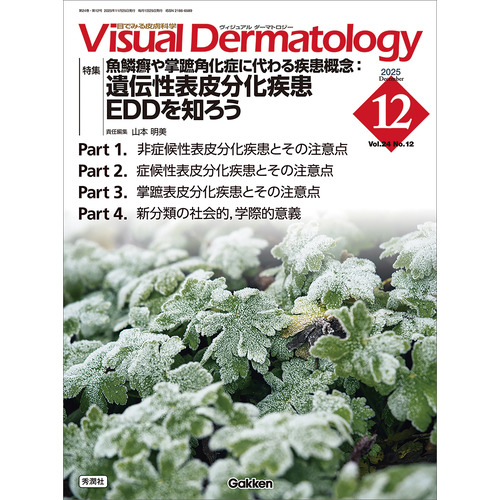 Ｖｉｓｕａｌ　Ｄ．　２０２５年１２月号　Ｖｏｌ．２４　Ｎｏ．１２