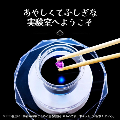 商品写真