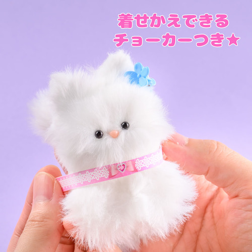 商品写真