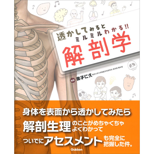 透かしてみるとミルミルわかる 解剖学 金子 仁久 編 著 ショップ学研