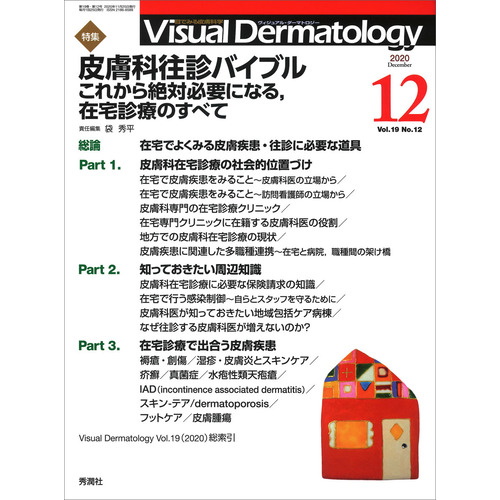 Ｖｉｓｕａｌ　Ｄ．　２０２０年１２月号　Ｖｏｌ．１９　Ｎｏ．１２