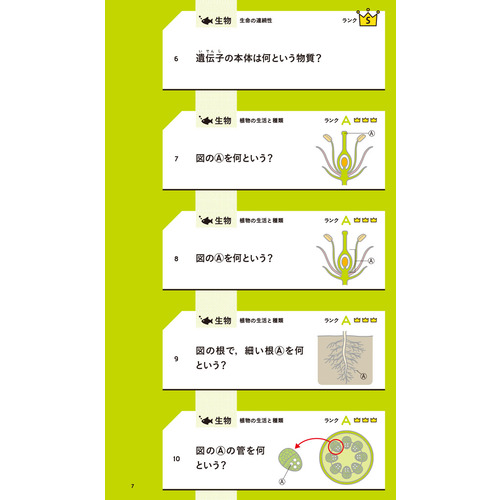 商品写真