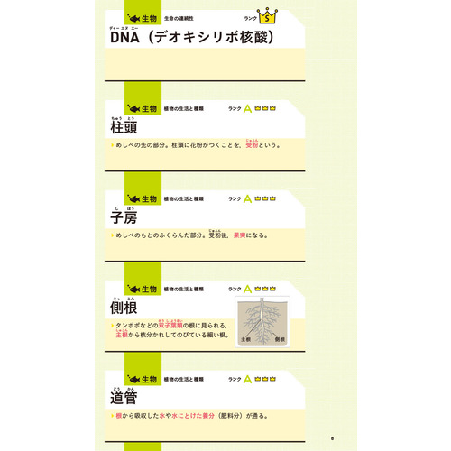 商品写真