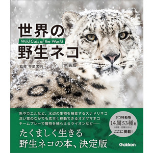 世界の野生ネコ 新装版|今泉忠明(監修)|ショップ学研＋