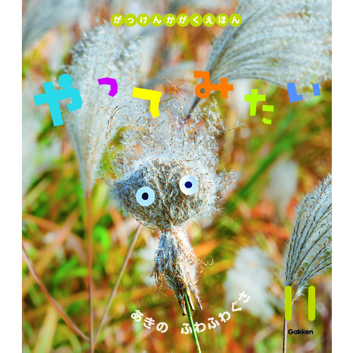 ２０２４年　１１月号　がっけんのかがくえほん　やってみたい