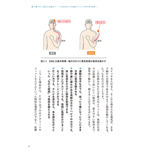 商品写真