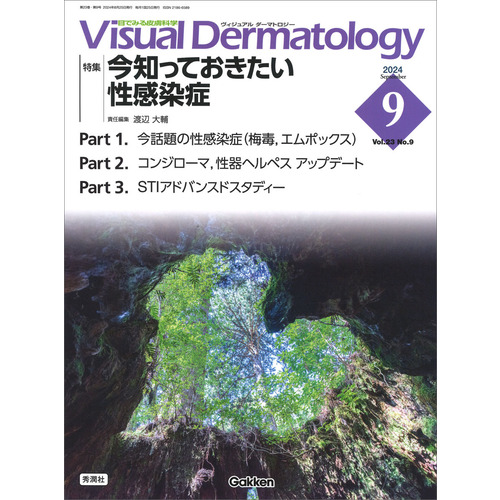 Ｖｉｓｕａｌ　Ｄ．　２０２４年９月号　Ｖｏｌ．２３　Ｎｏ．９