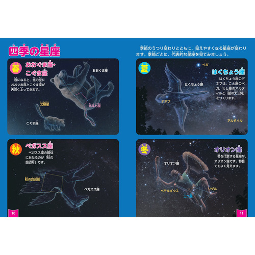 正規品】 【５冊セット】学研図鑑 鳥・動物・植物・人体・星、星座 