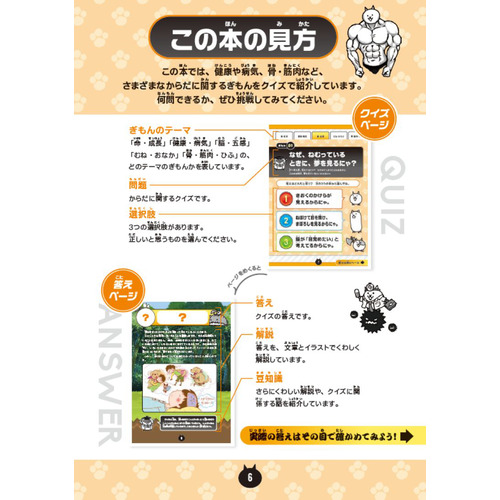 商品写真