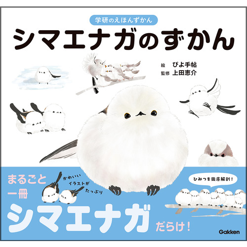 シマエナガのずかん