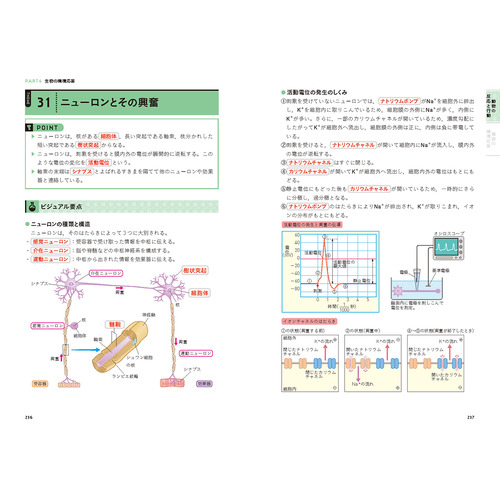 商品写真