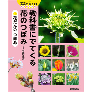 教科書にでてくる 花のつぼみ|1 花だんの つぼみ|小池安比古(監修