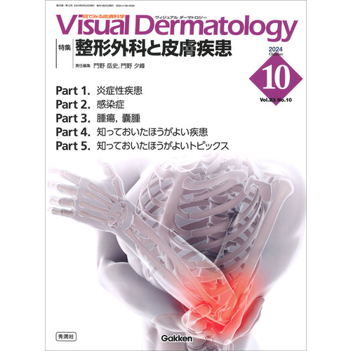 Ｖｉｓｕａｌ　Ｄ．　２０２４年１０月号　Ｖｏｌ．２３　Ｎｏ．１０