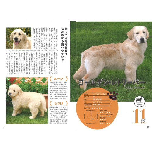 【新品】日本畜犬学会 ペット技法DVDシリーズ 25枚セット Gakken Pet Books|改訂版 まるごとわかる犬種大図鑑