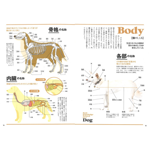 Gakken Pet Books|改訂版 まるごとわかる犬種大図鑑