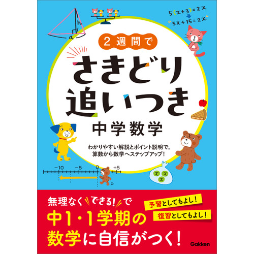 ２週間でさきどり追いつき　中学数学