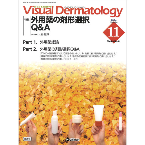 Ｖｉｓｕａｌ　Ｄ．　２０２４年１１月号　Ｖｏｌ．２３　Ｎｏ．１１