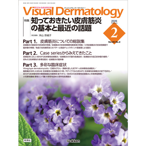Ｖｉｓｕａｌ　Ｄ．　２０２６年２月号　Ｖｏｌ．２５　Ｎｏ．２