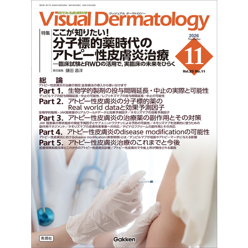Ｖｉｓｕａｌ　Ｄ．　２０２６年１１月号　Ｖｏｌ．２５　Ｎｏ．１１