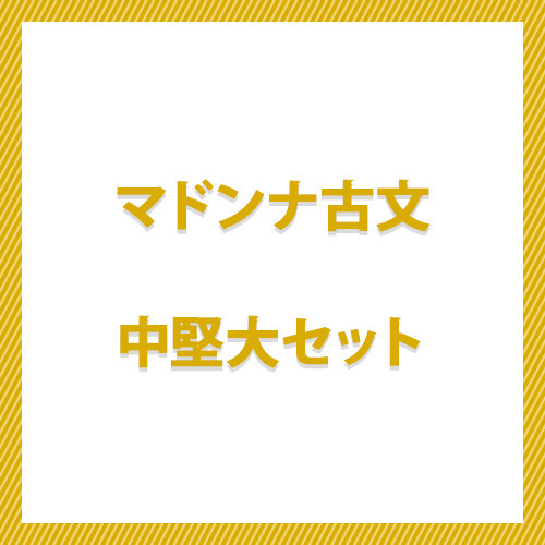 マドンナ古文　中堅大セット