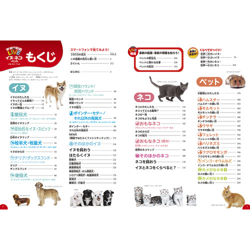 商品写真