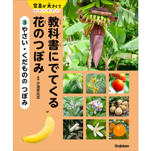 ３　やさい・くだものの　つぼみ