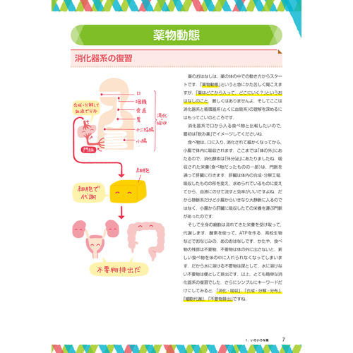 看護学生 解剖学・生理学・生化学・病態学がスルスルわかる Amazon.co.jp: 病態・解剖生理・薬理などセット 語学・辞書・学習参考書
