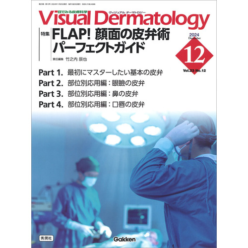 Ｖｉｓｕａｌ　Ｄ．　２０２４年１２月号　Ｖｏｌ．２３　Ｎｏ．１２