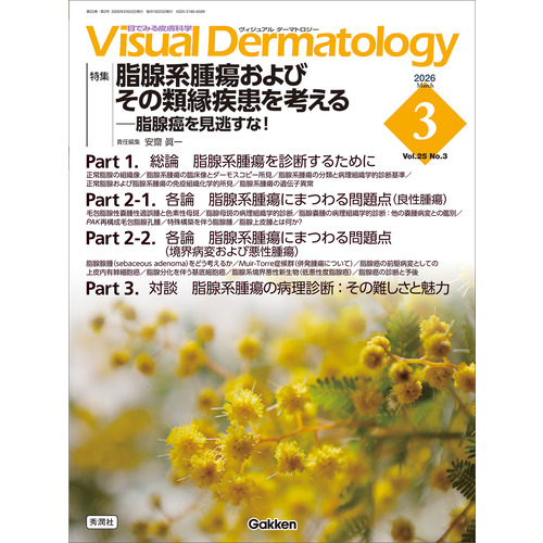 定期誌『ヴィジュアル・ダーマトロジー』